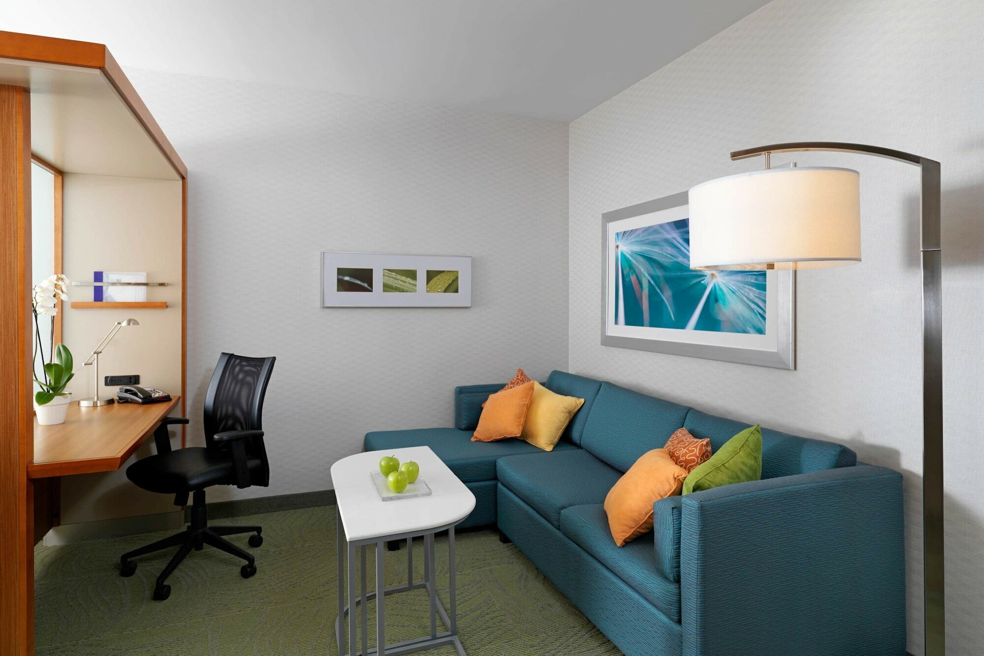 Springhill Suites By Marriott Hampton Portsmouth Eksteriør billede